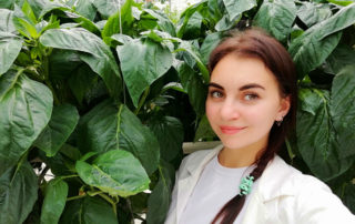 выпускница СПбГАУ, работа в АПК, перцы, агрономия