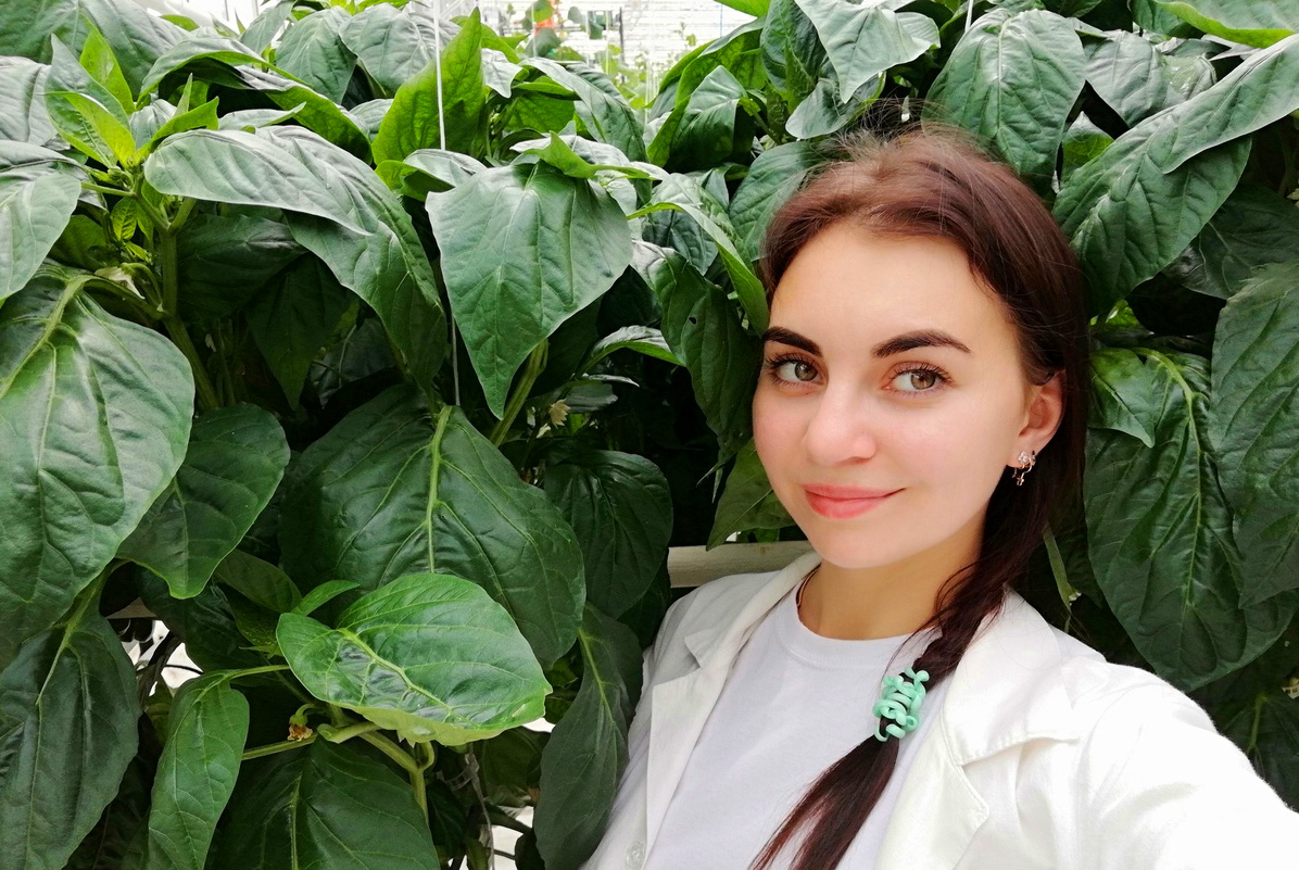 выпускница СПбГАУ, работа в АПК, перцы, агрономия