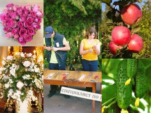 профессия, садовод, СПбГАУ, студенты, практика, яблоки, цветы
